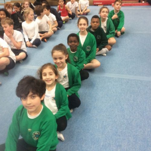 Beckford Gymnastics team